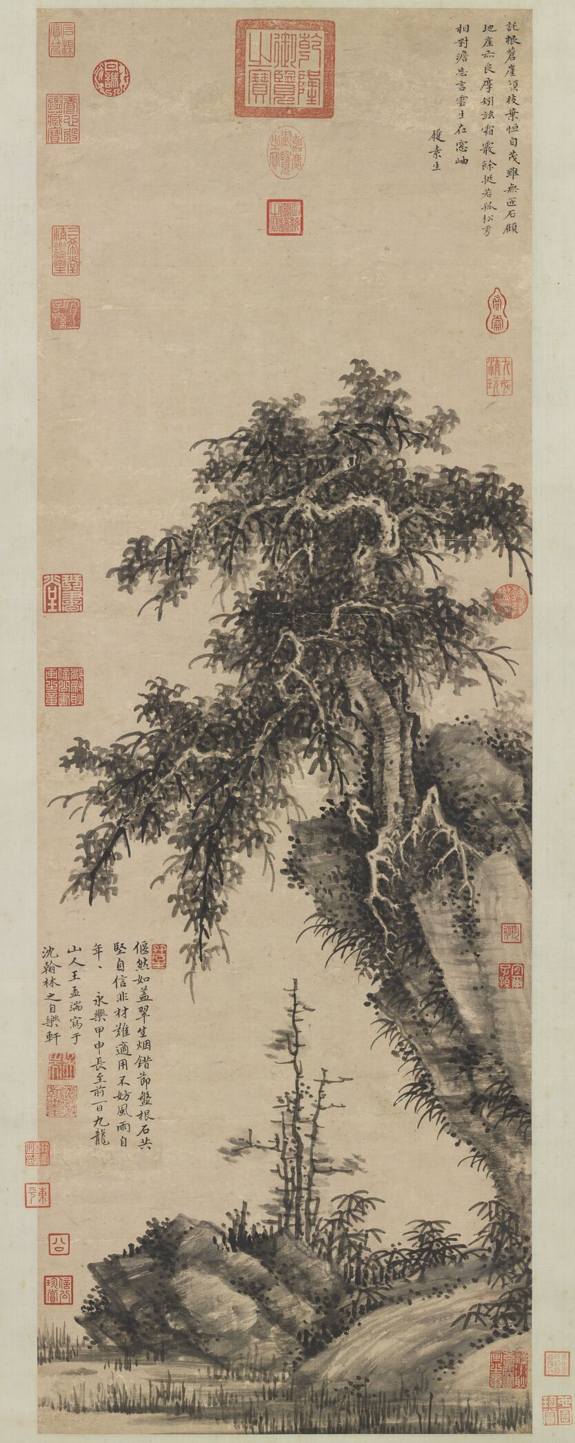 独树图预览图