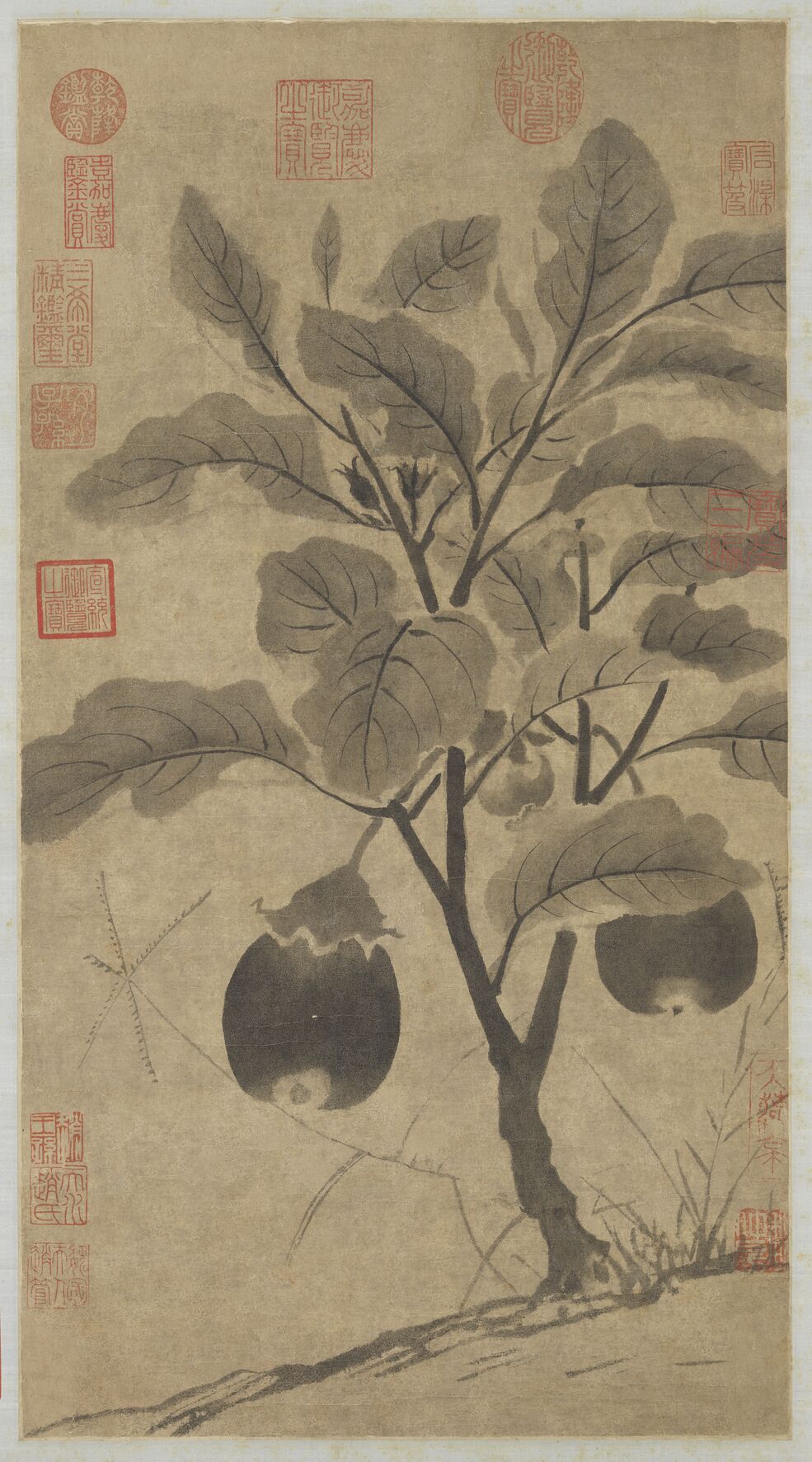 画茄图预览图