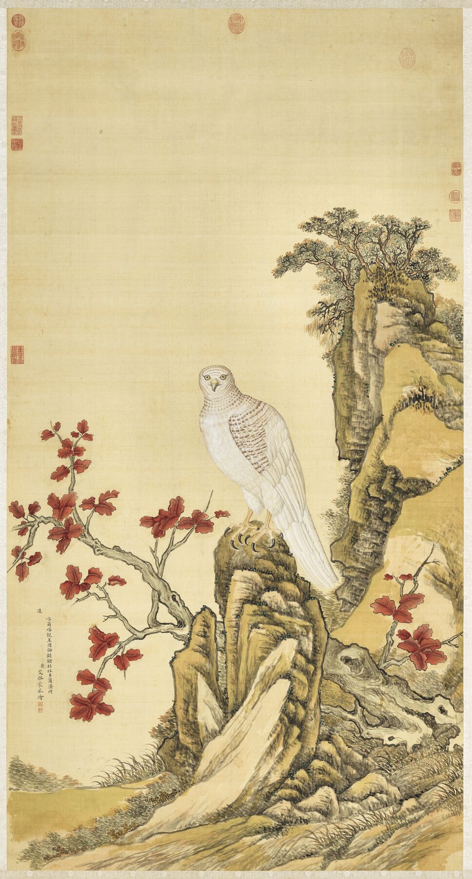 白鹰图预览图