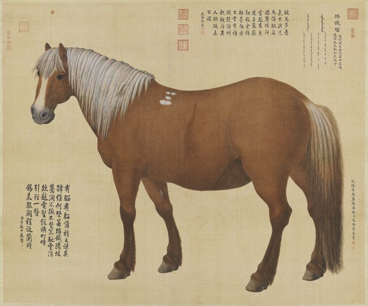 踣铁骝轴预览图