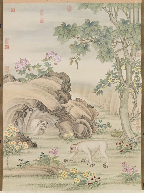风猩图预览图