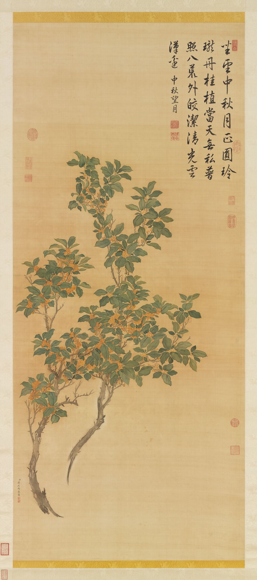 桂花轴预览图