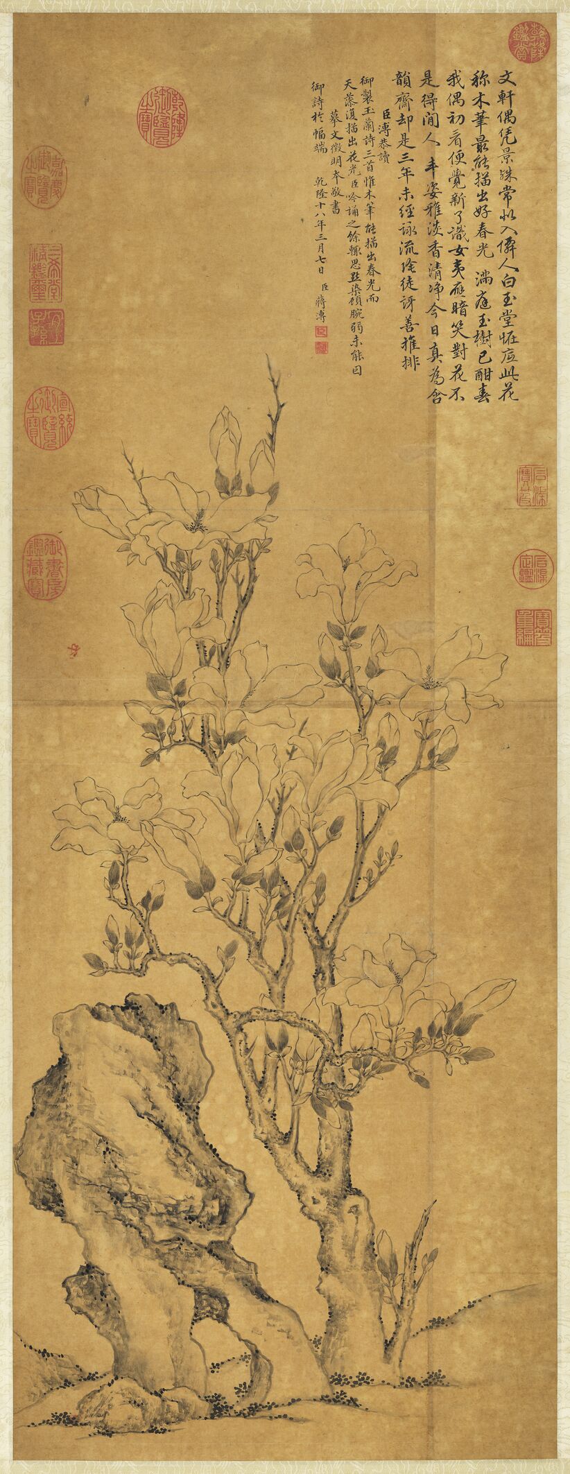 摹文徵明玉兰花图预览图