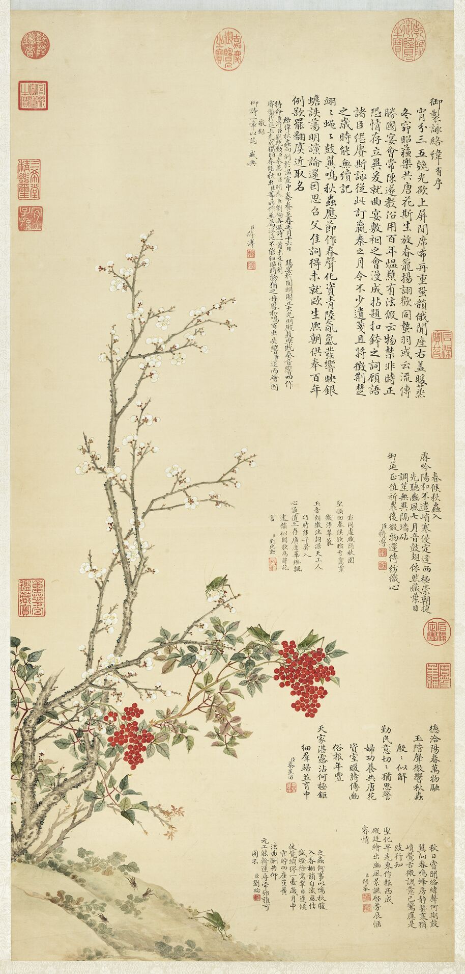 络纬图轴预览图