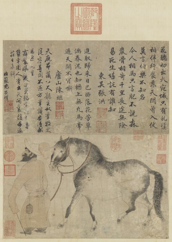 白鼻䯄图预览图
