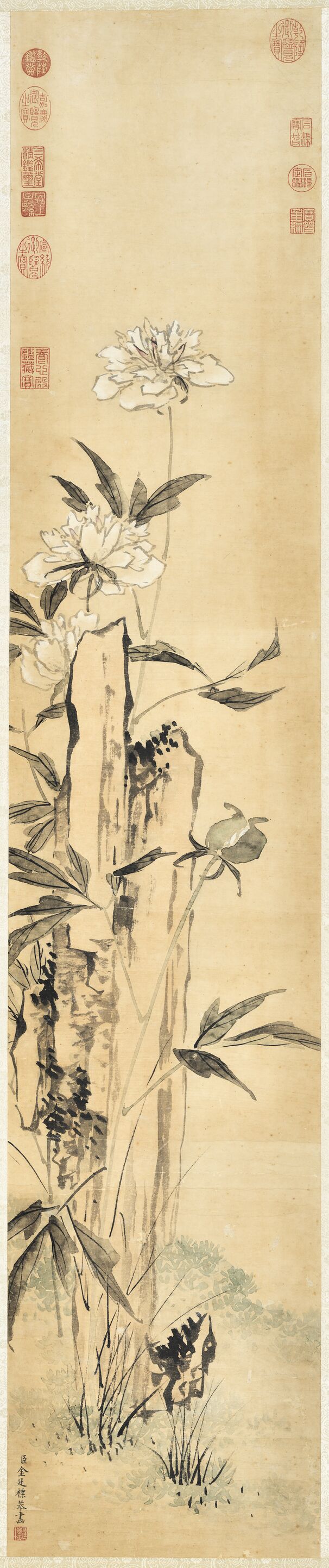 芍药图预览图
