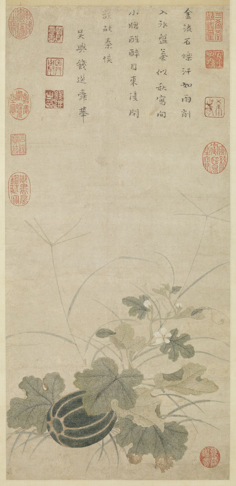 秋瓜图预览图