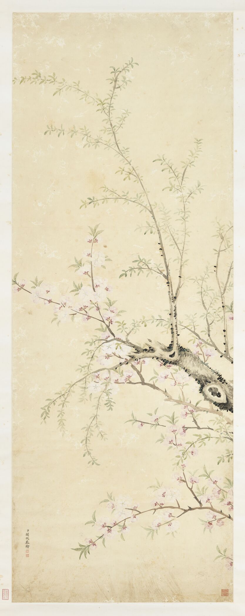 桃花杨柳图预览图