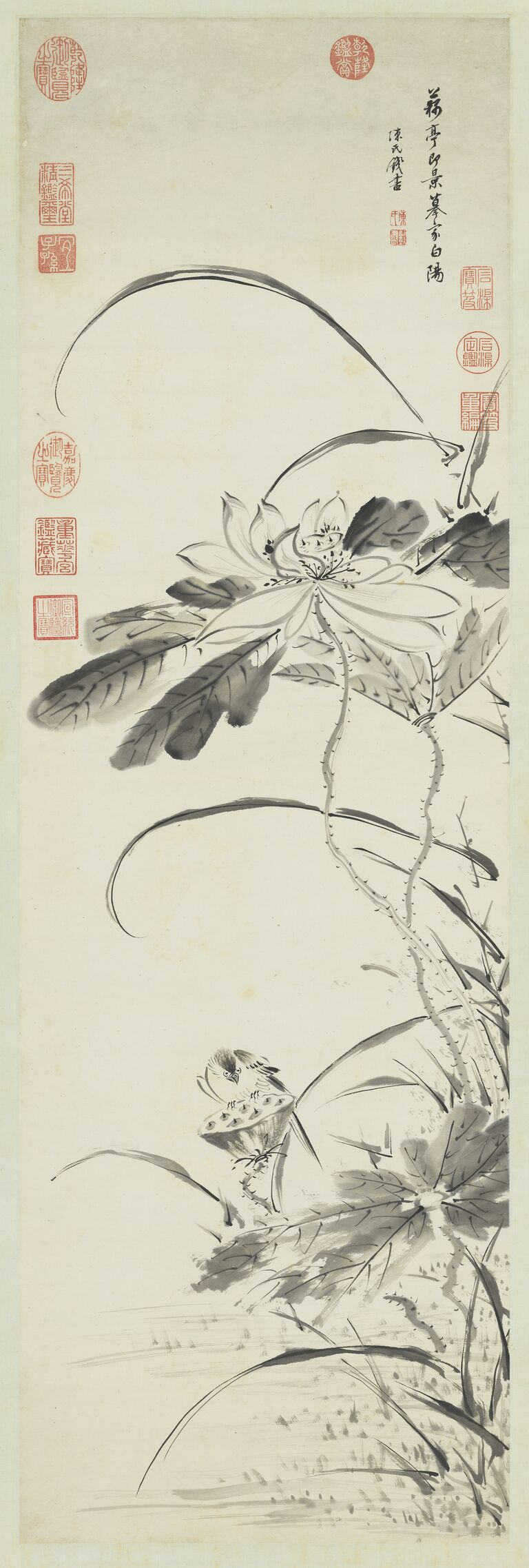 荷花轴预览图