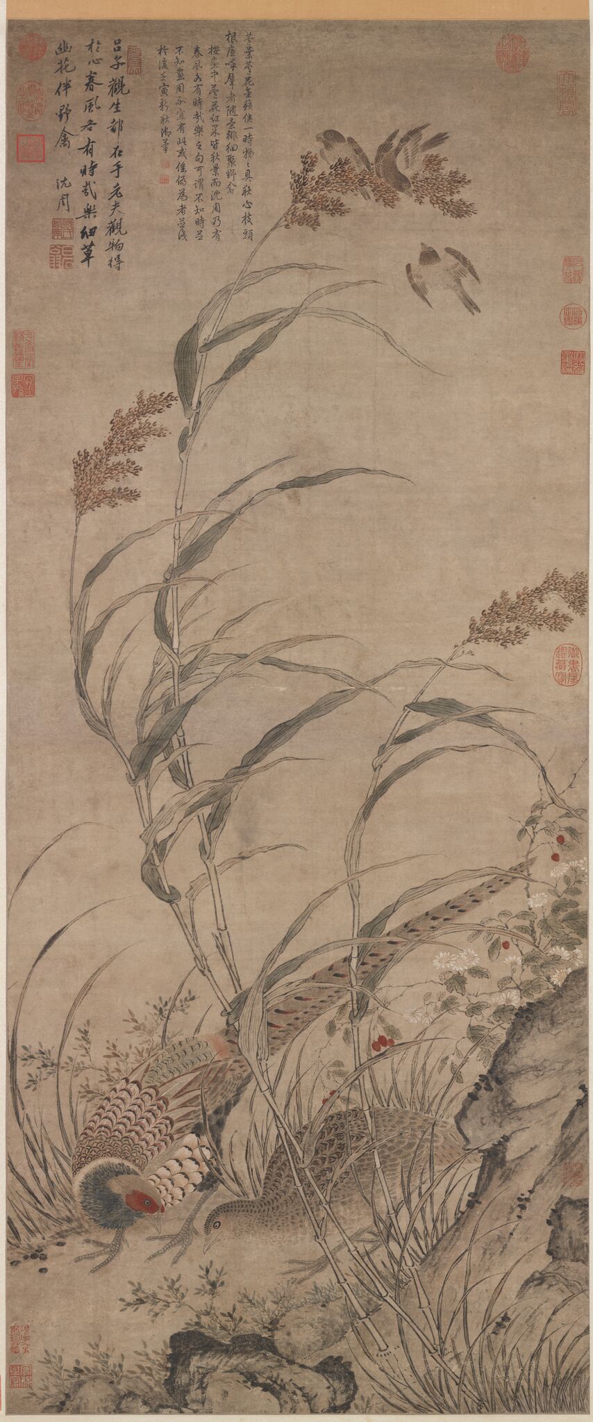 草花野禽图预览图