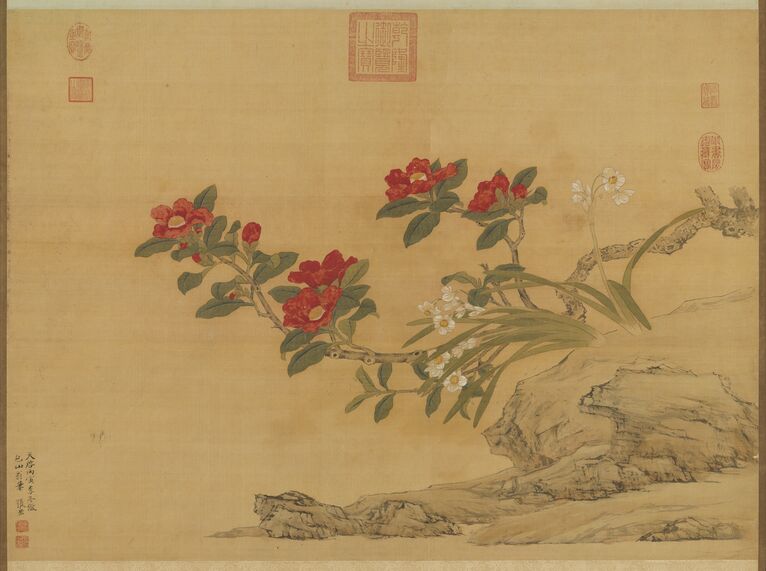 仿陆治茶花水仙图预览图