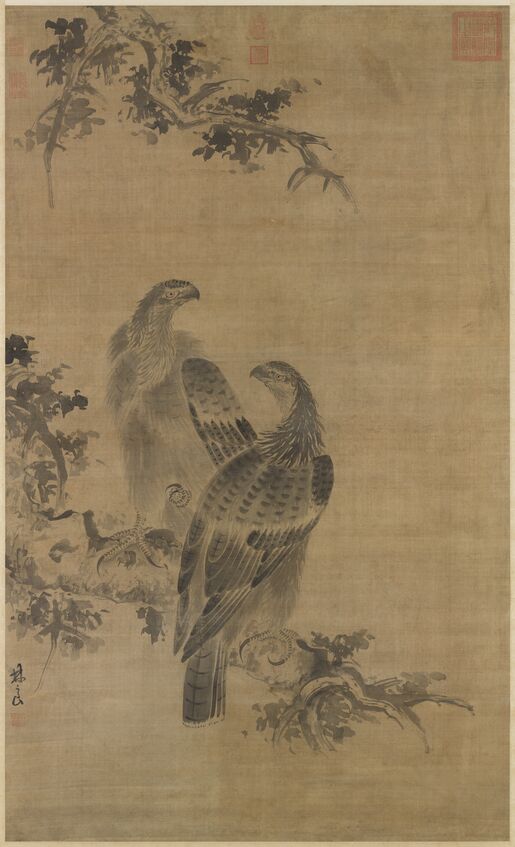 鹰图预览图