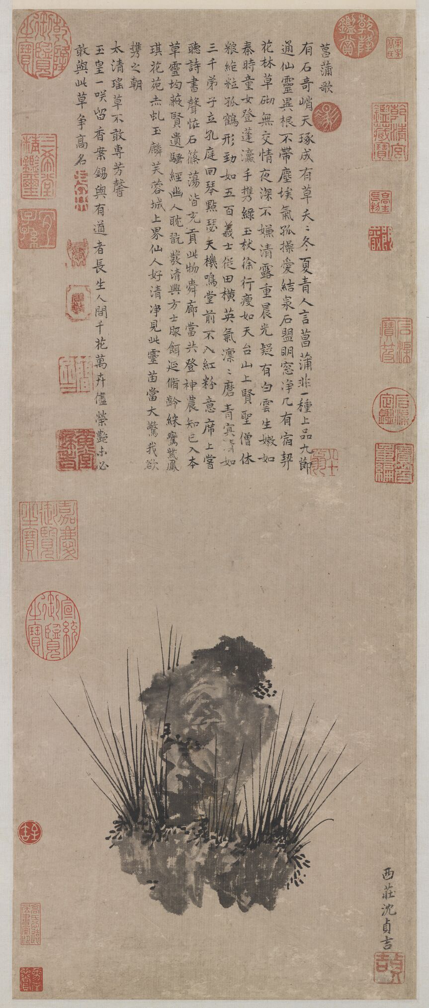 菖蒲图缩略图