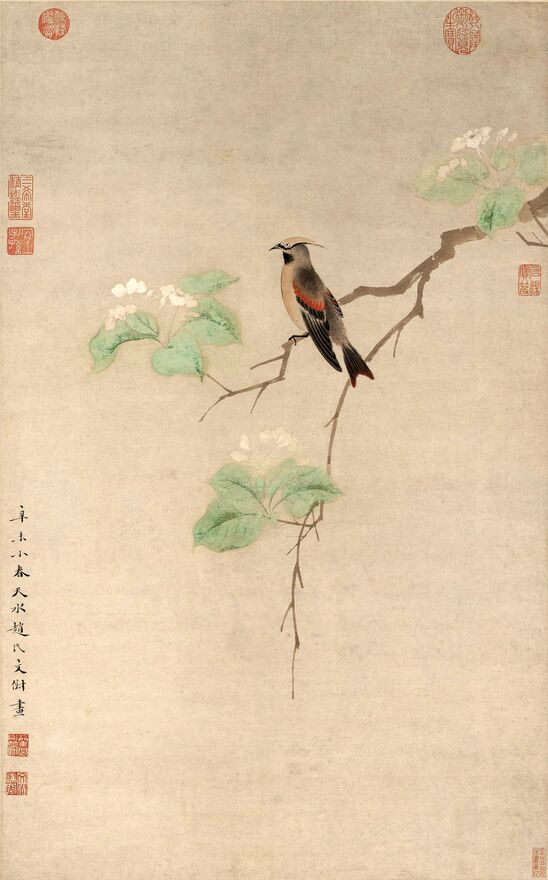 碧叶绣羽图缩略图