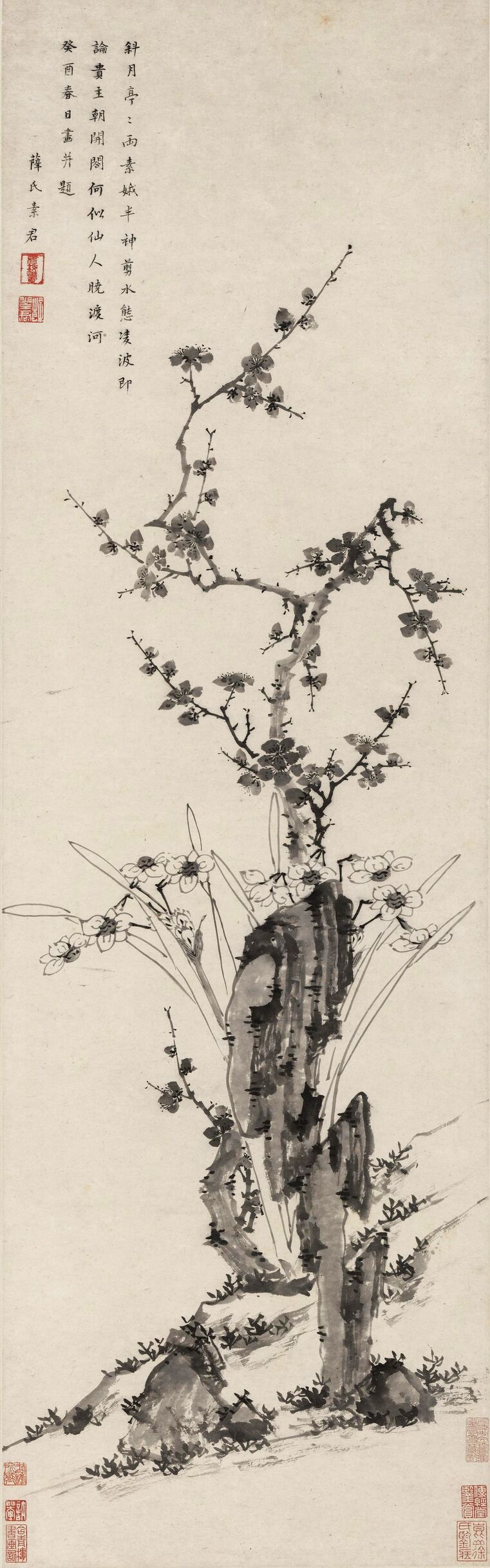 梅花水仙图预览图