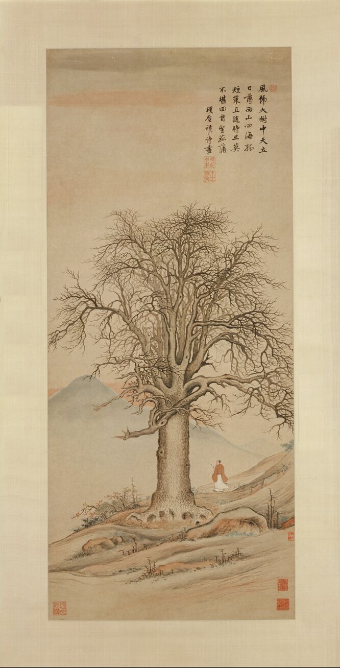 大树风号图预览图