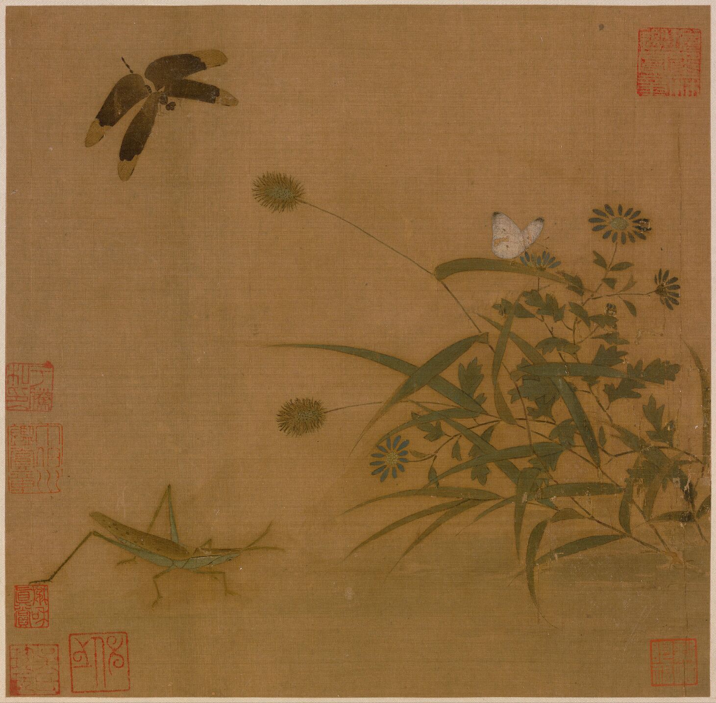 写生草虫图预览图