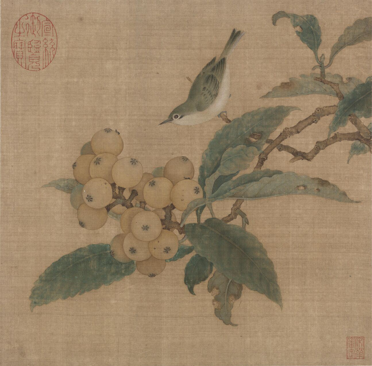枇杷山鸟图预览图