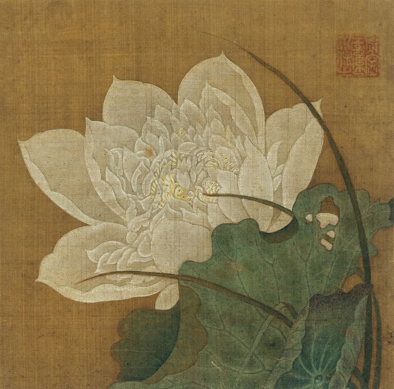 渌池擢素缩略图