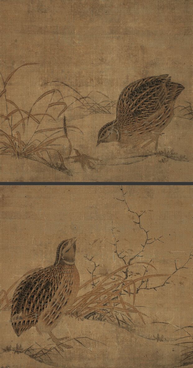鹌鹑图预览图
