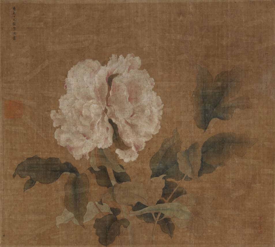 名花艳色图预览图