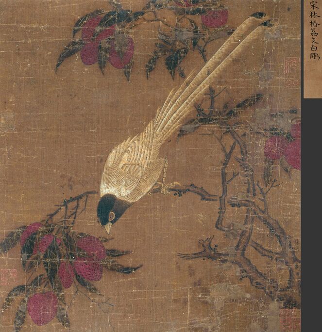 荔枝白鹇图预览图