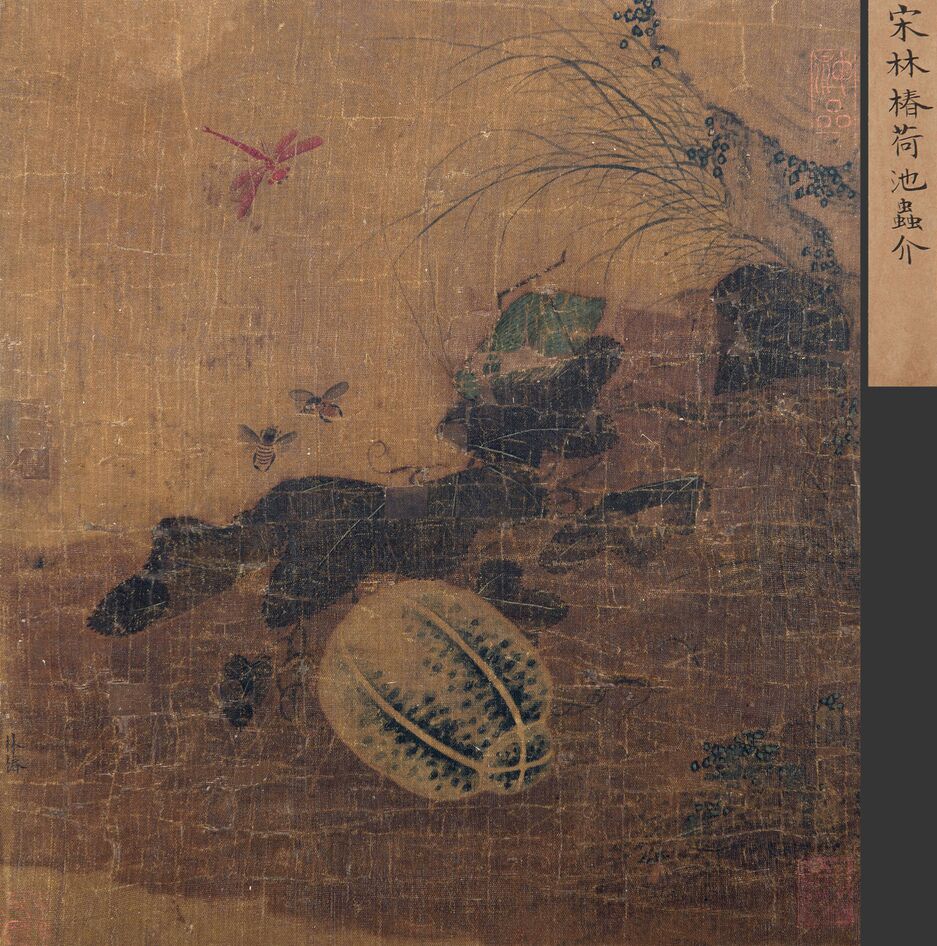 荷花虫介图预览图