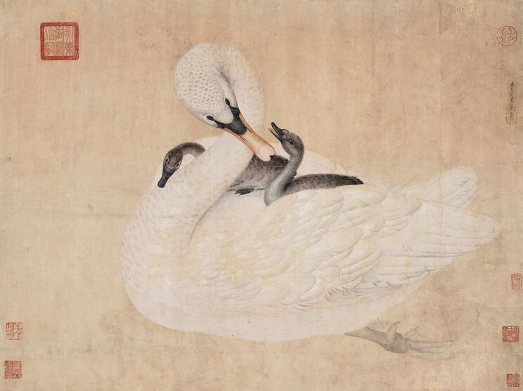 鹅图缩略图