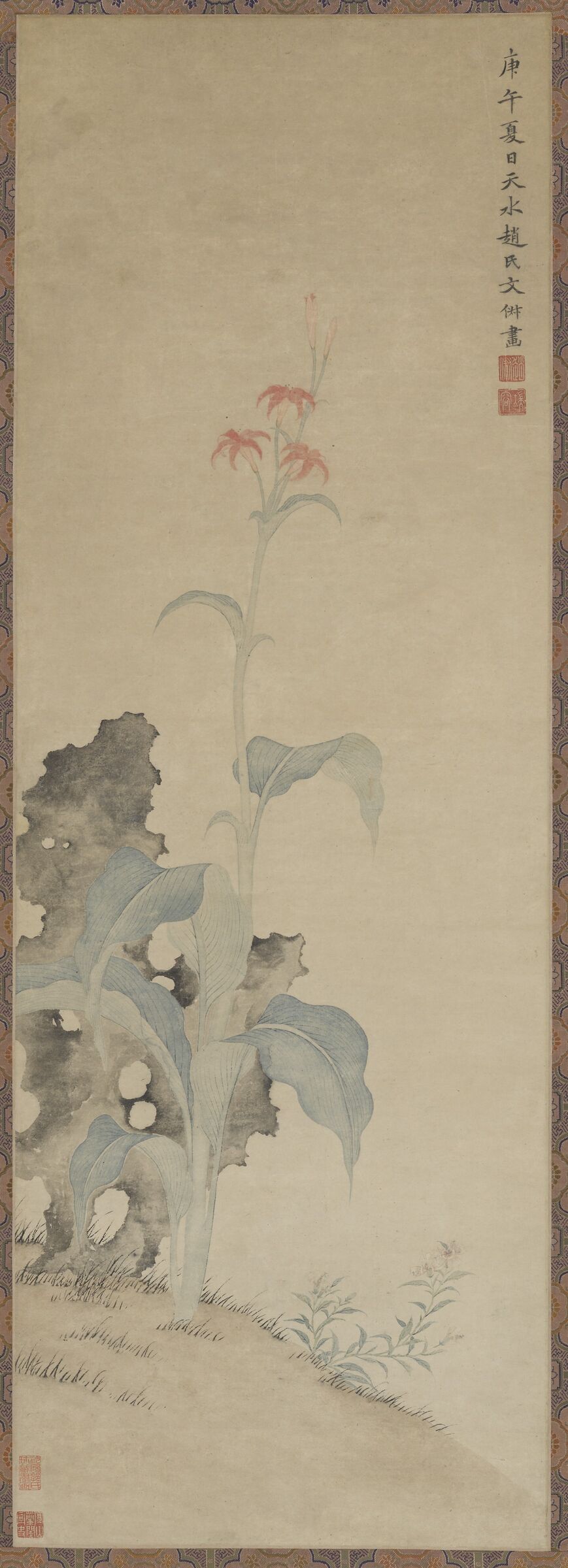 美人蕉图缩略图