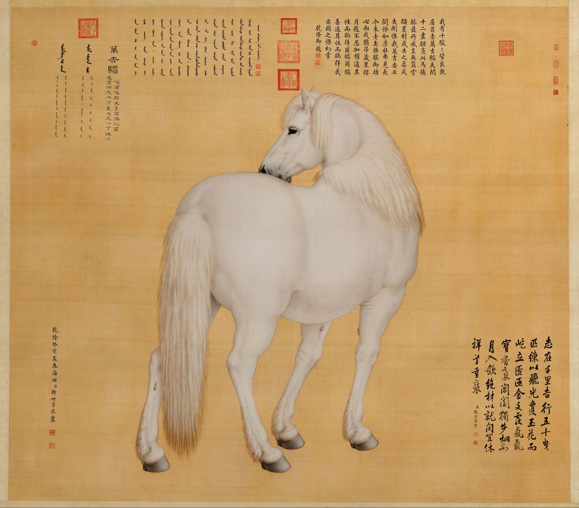 万吉骦预览图