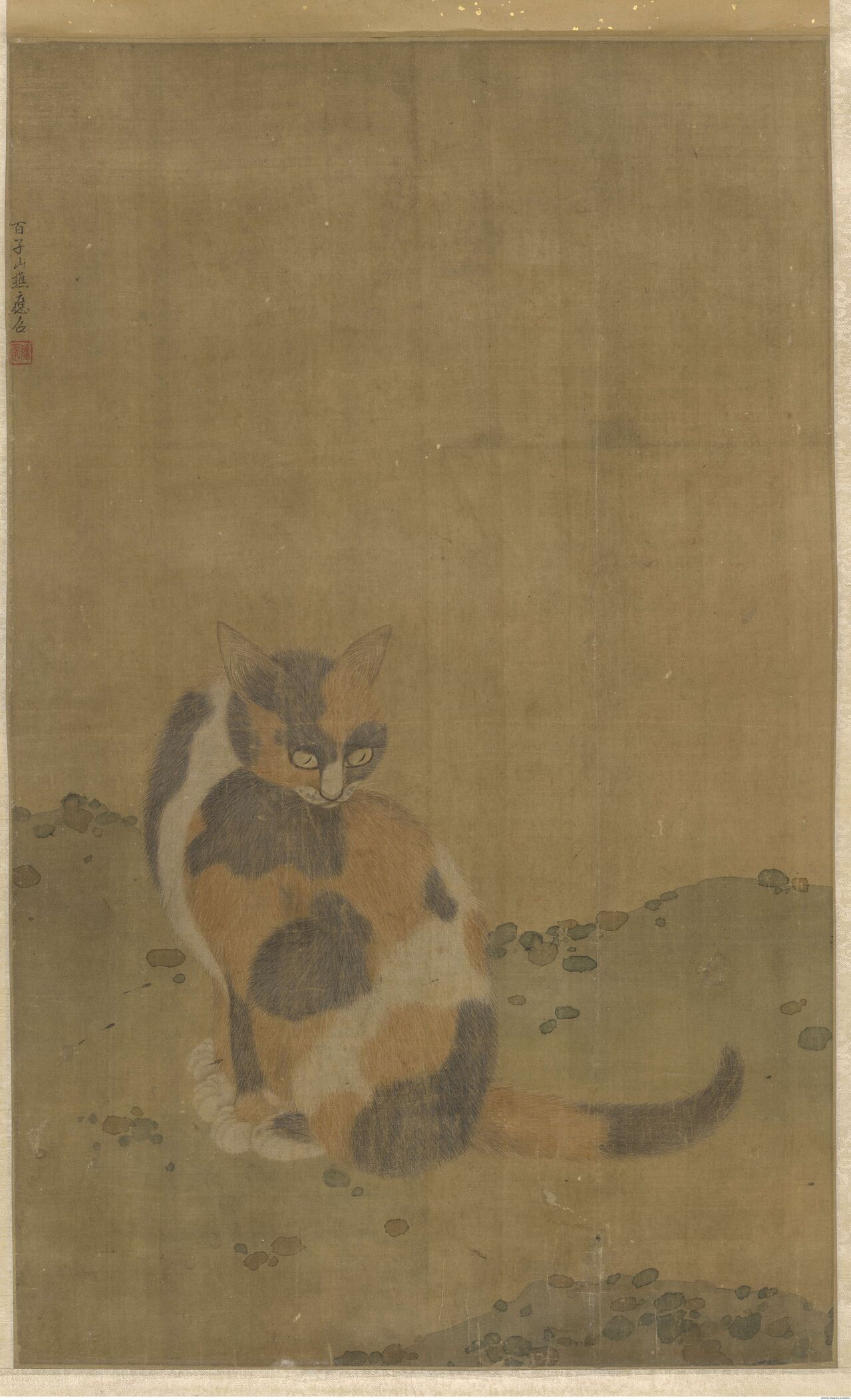 猫图预览图