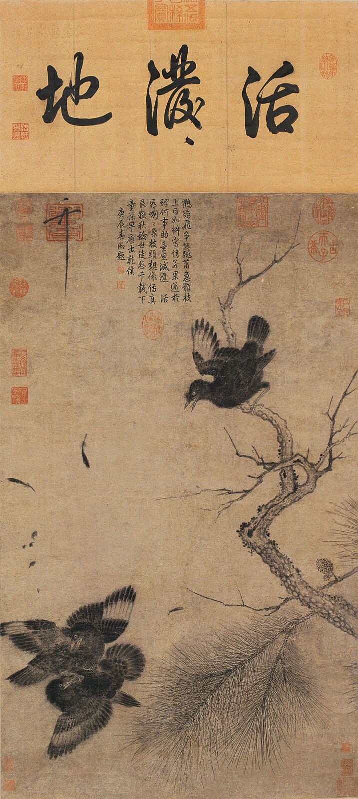 鸜鹆图预览图