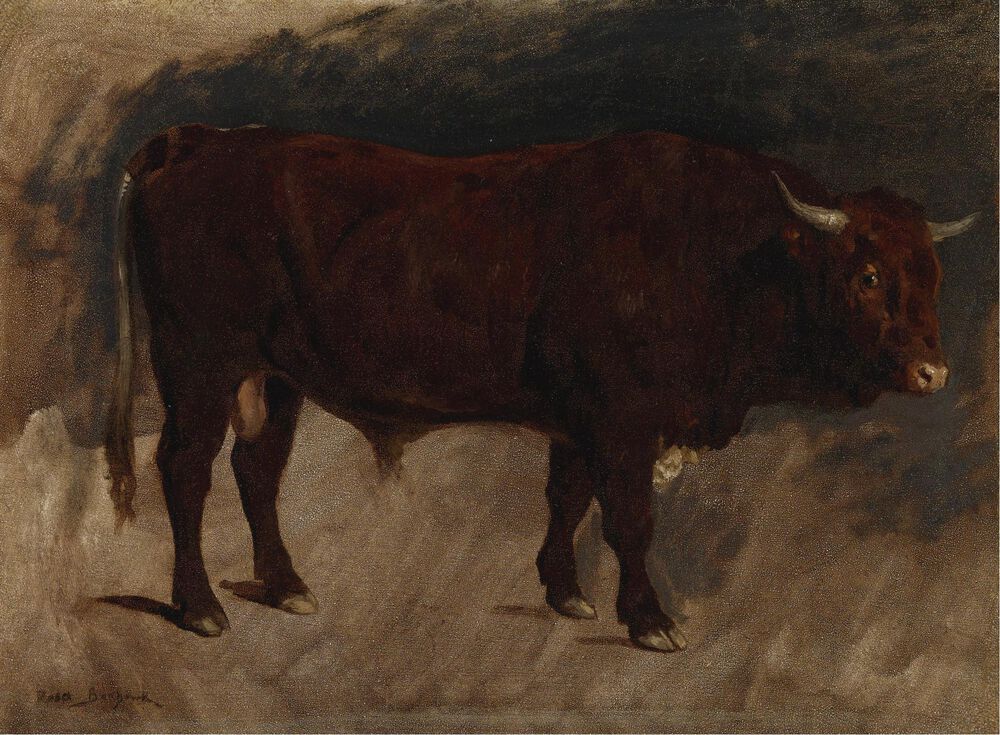 A BROWN BULL IN PROFILE缩略图