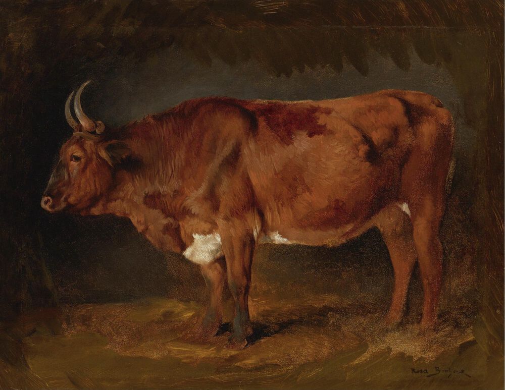 A BROWN COW IN PROFILE缩略图