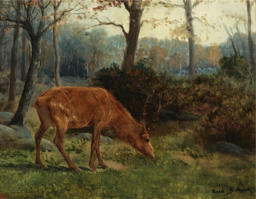 A DEER GRAZING缩略图