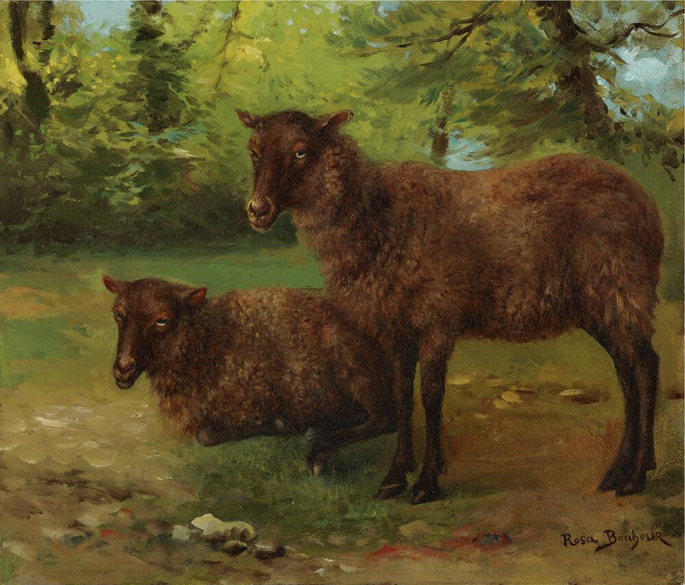 A PAIR OF BLACK SHEEP缩略图