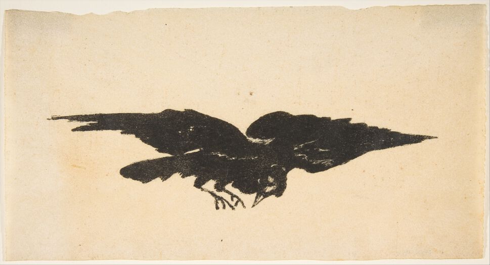 素描版画/The Flying Raven, Ex Libris for The Raven by Edgar Allan Poe预览图