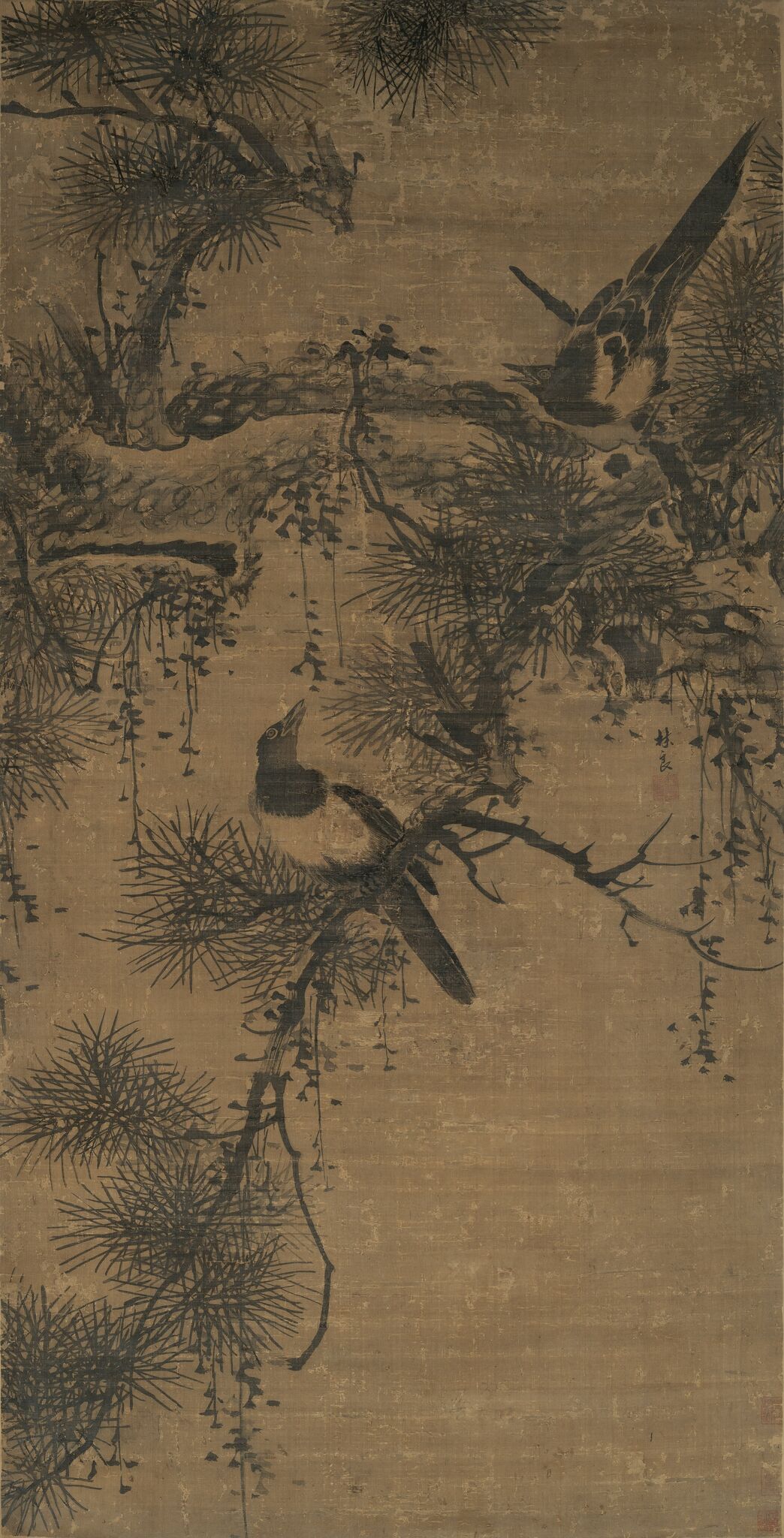 古松双鹊图预览图
