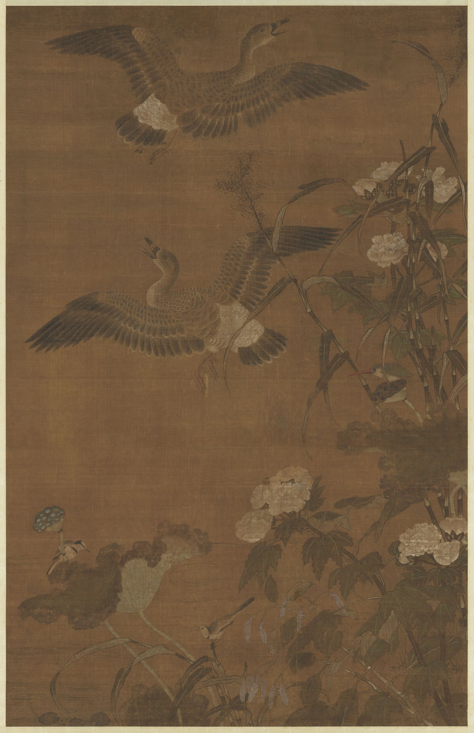 秋浦蓉宾图预览图