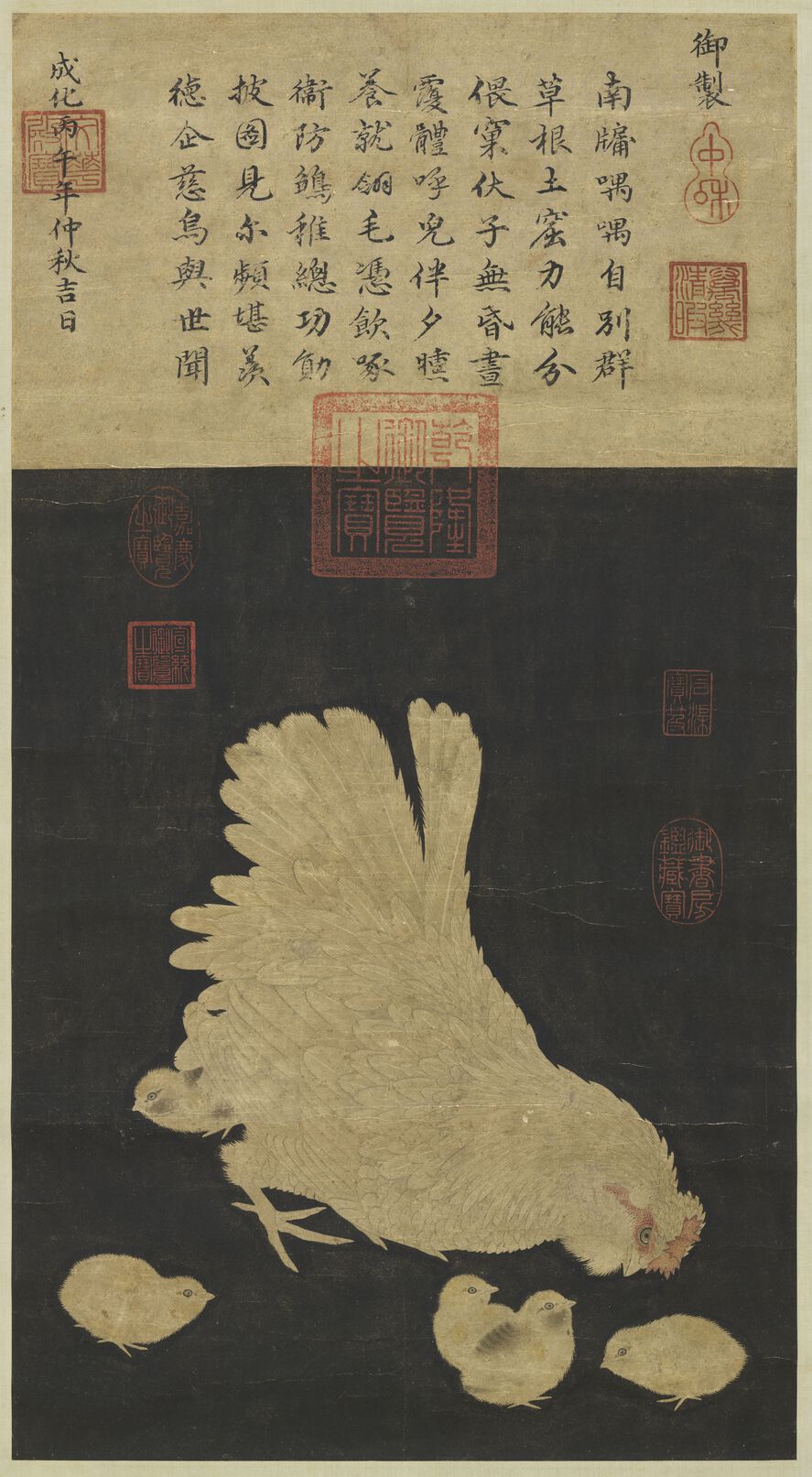 子母鸡图预览图