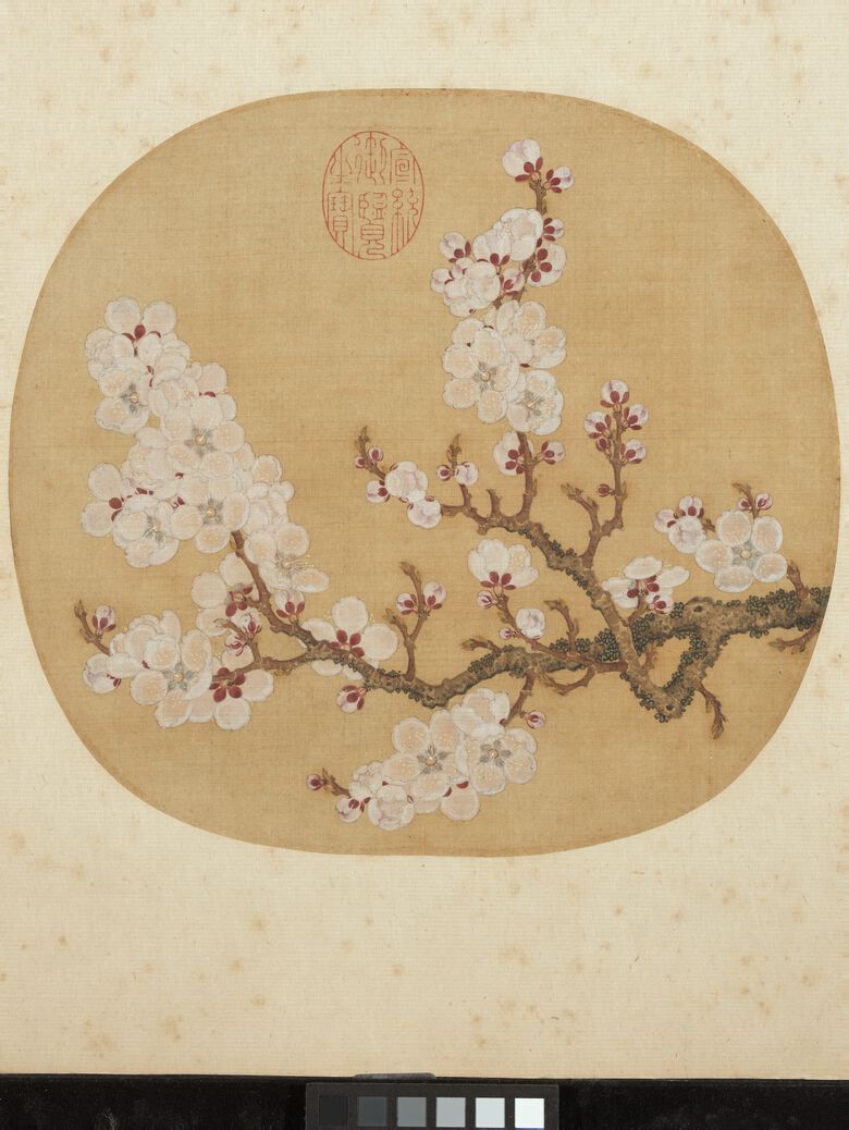 写生杏花图预览图