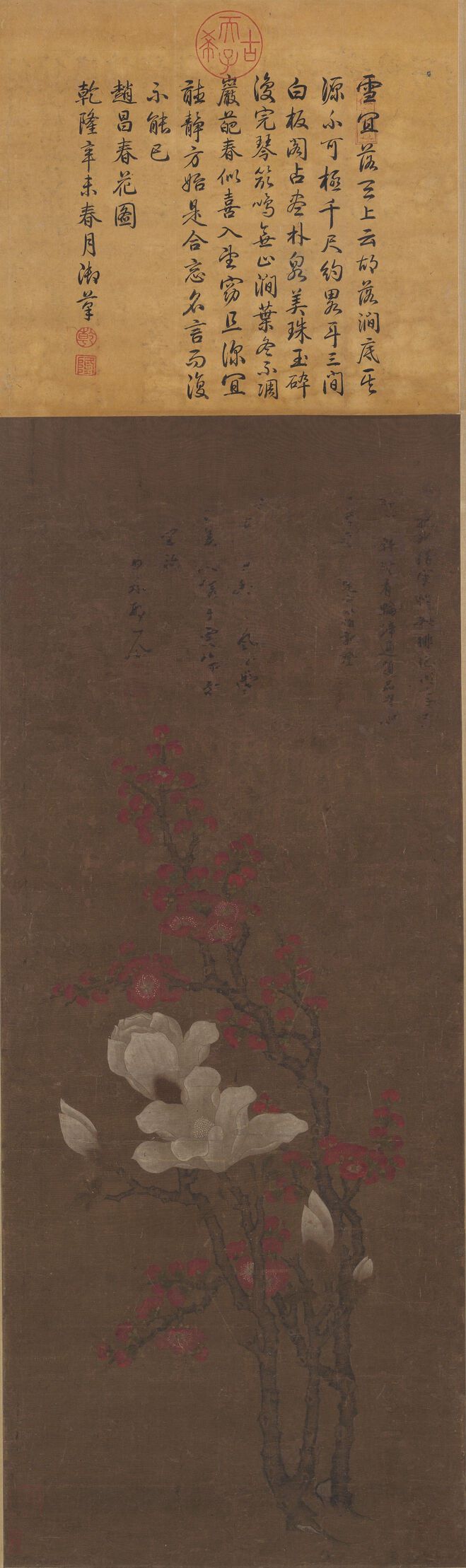 玉兰图预览图