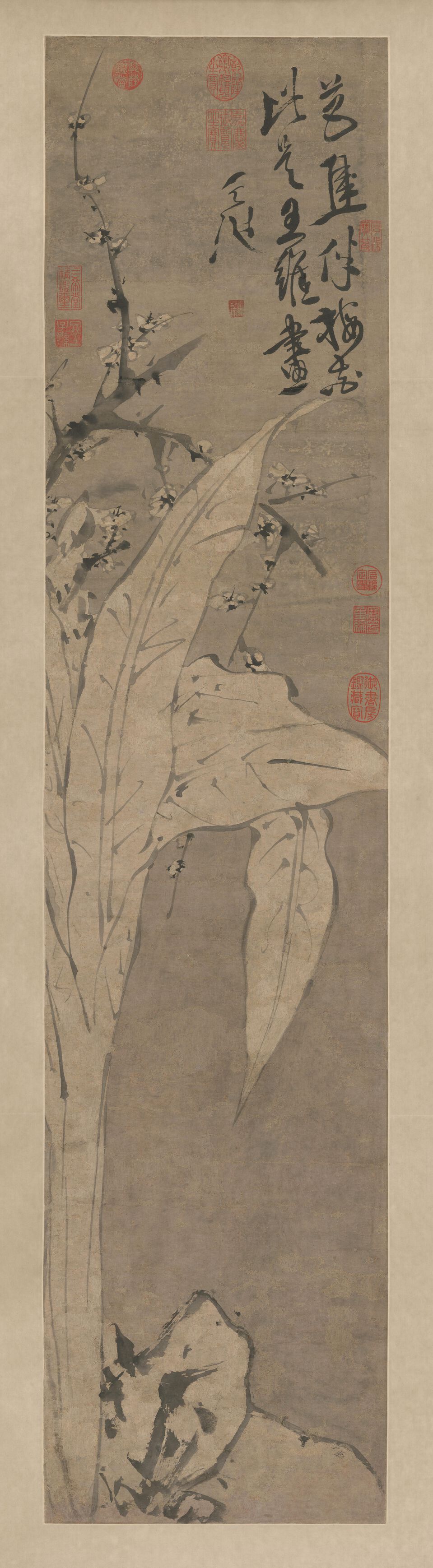 梅花蕉叶图预览图