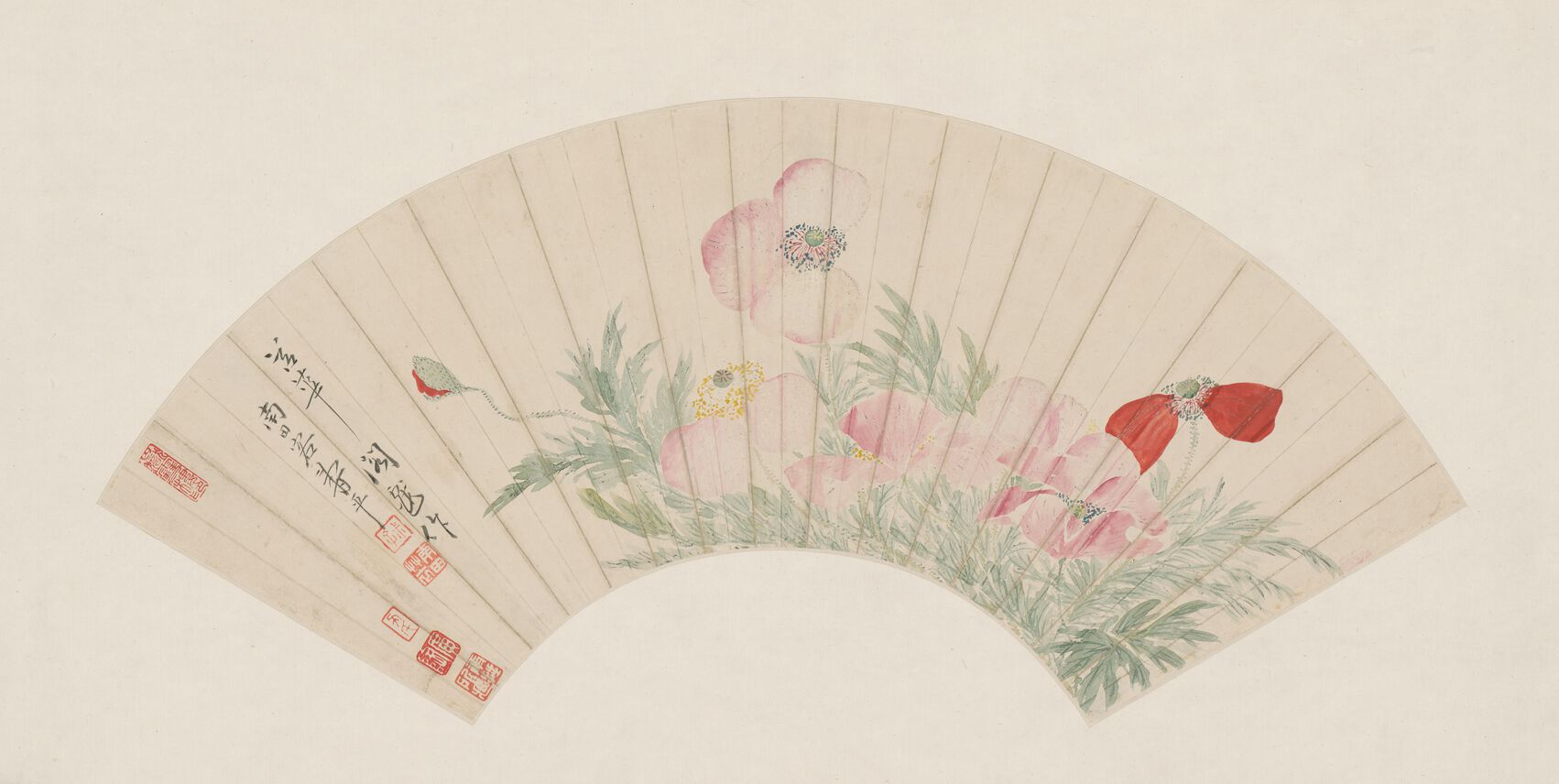 罂粟花图扇页预览图