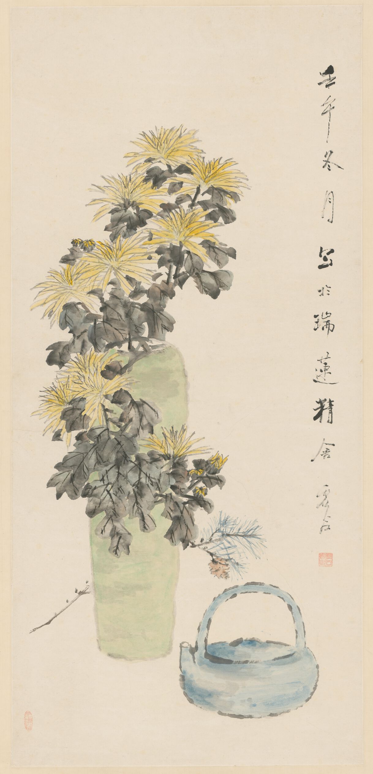 瓶菊图缩略图