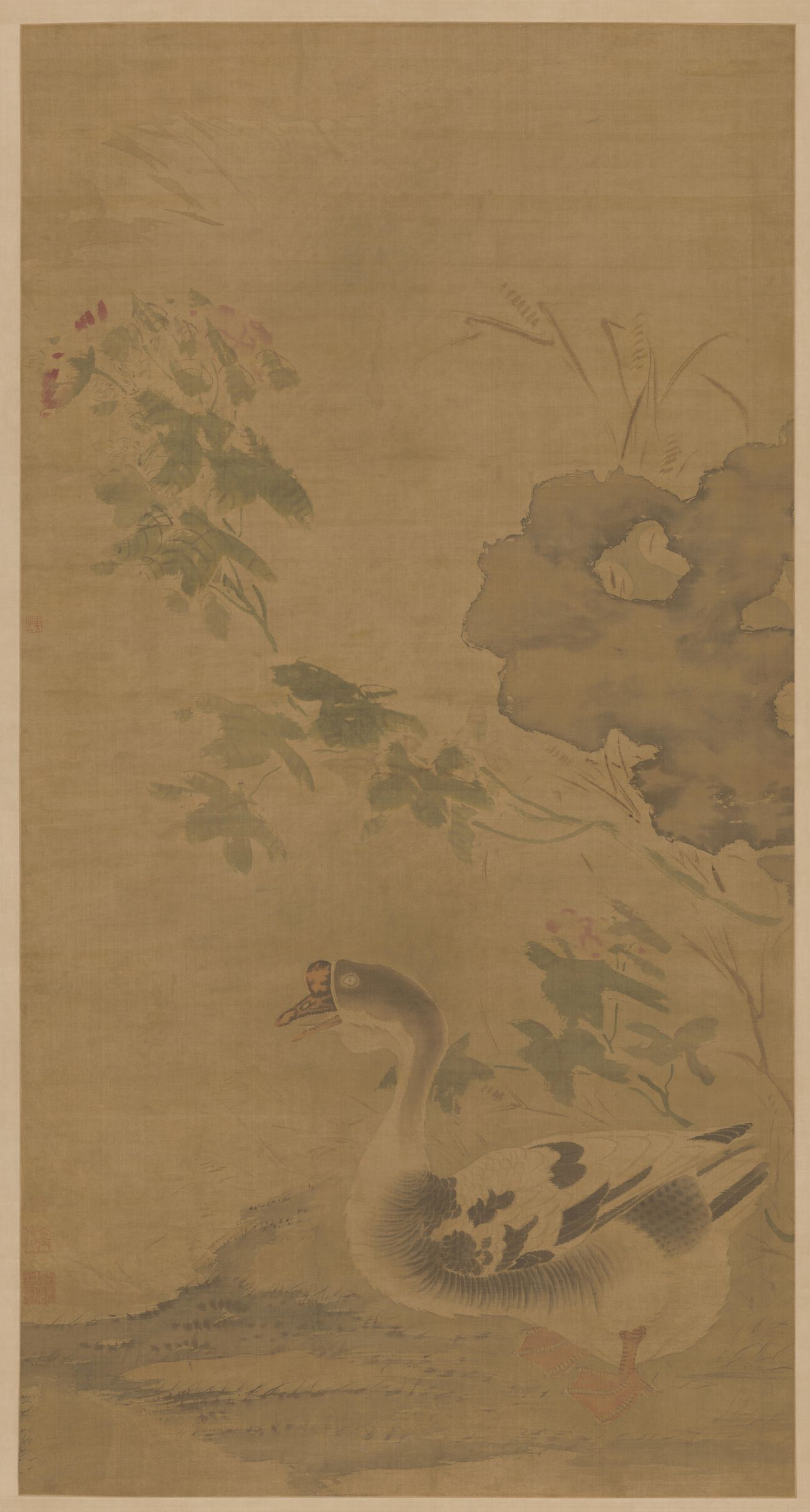 芙蓉鹅图预览图