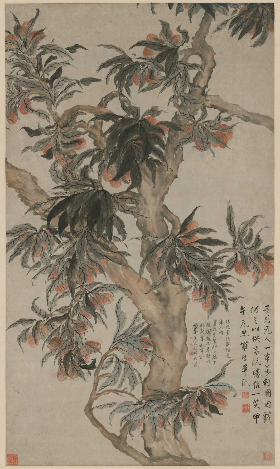 荔枝图预览图