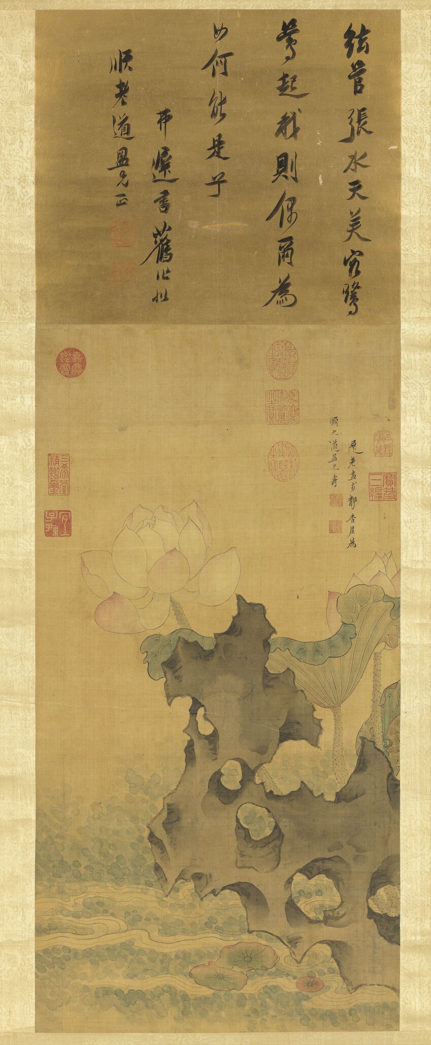 荷花图预览图