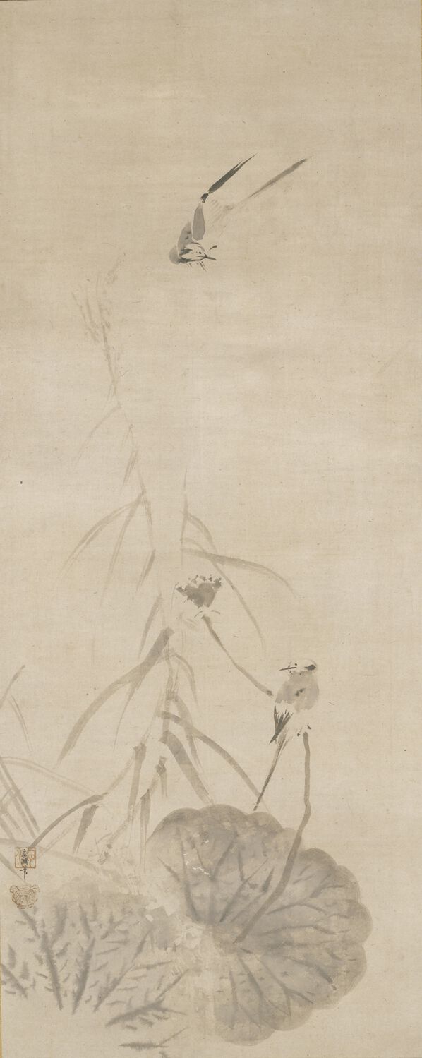 鹡鸰图预览图
