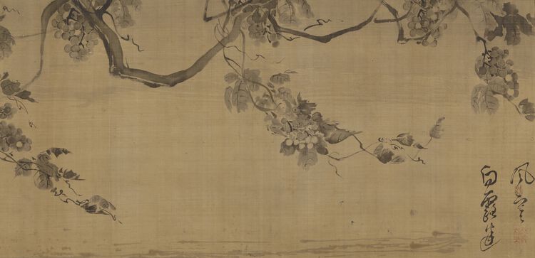 摹温日观葡萄图预览图